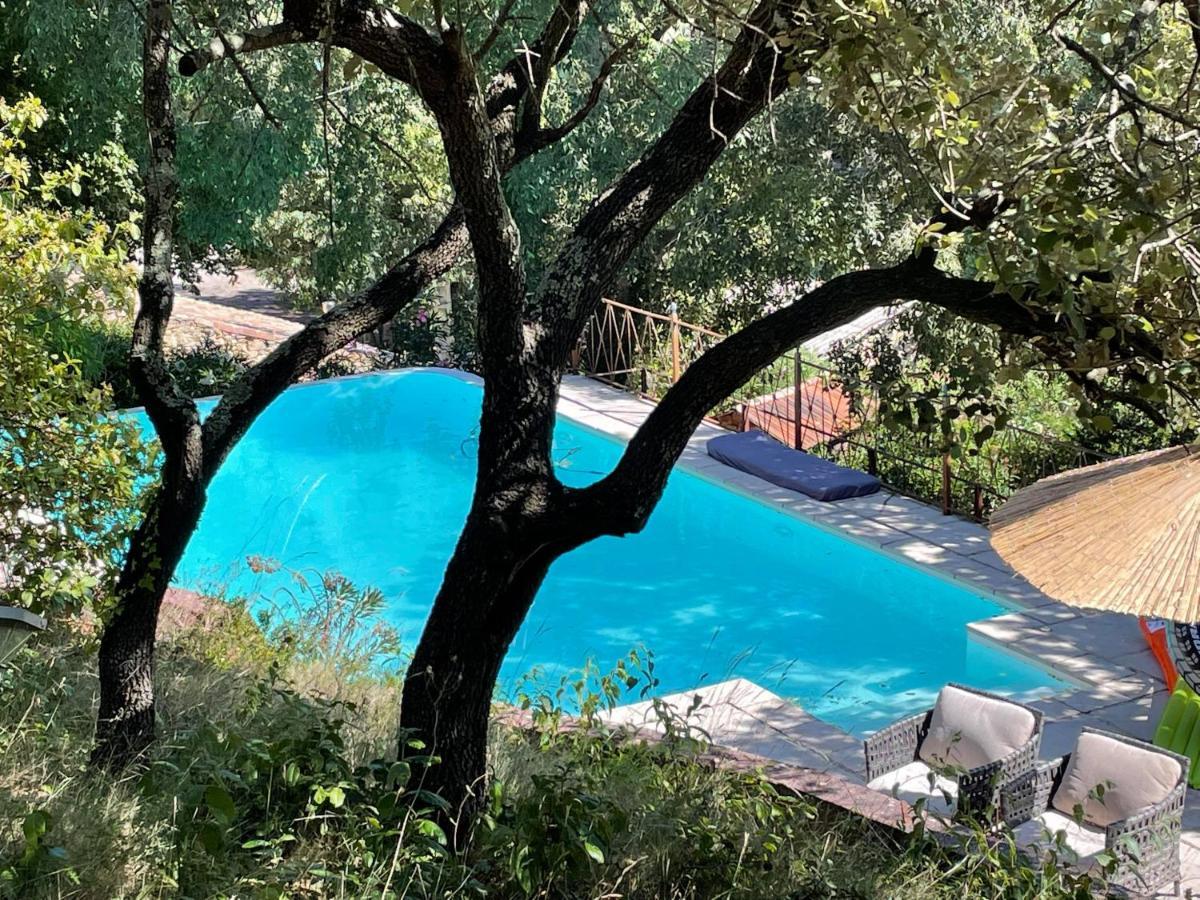 فيلا Jolie Annexe Du Mas Dans Le Coeur De La Garrigue Nimoise نيم المظهر الخارجي الصورة